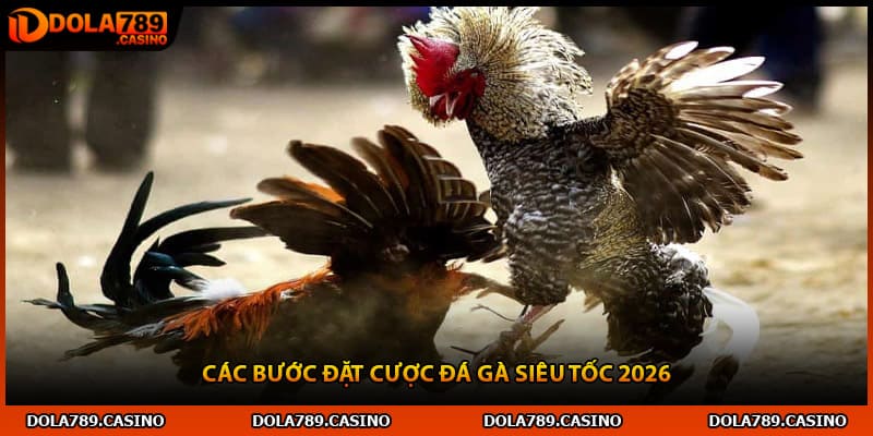 Các bước đặt cược đá gà siêu tốc 2026