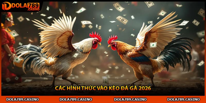 Các hình thức Vào kèo đá gà 2026