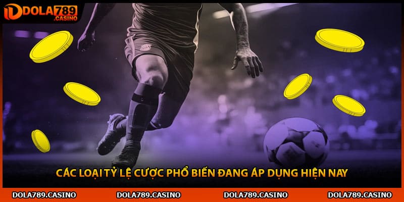 Các loại tỷ lệ cược phổ biến đang áp dụng hiện nay