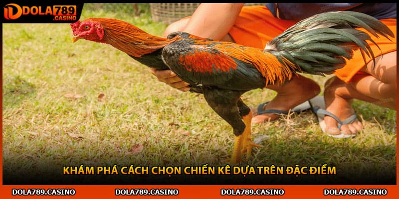Khám phá cách chọn chiến kê dựa trên đặc điểm