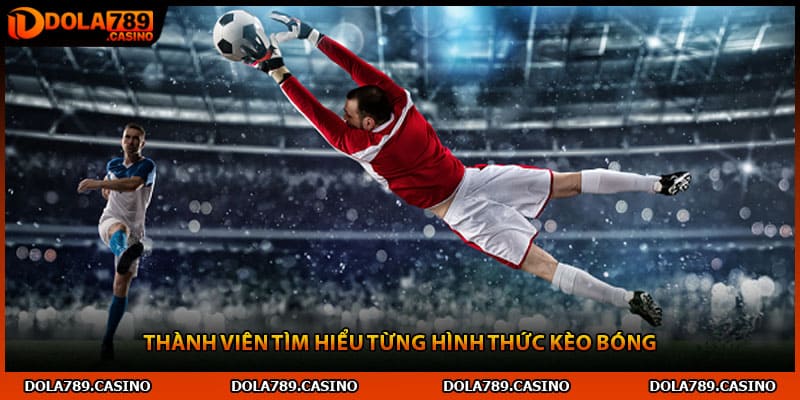 Thành viên tìm hiểu từng hình thức kèo bóng