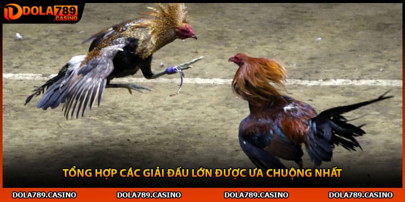 Tổng hợp các giải đấu lớn được ưa chuộng nhất